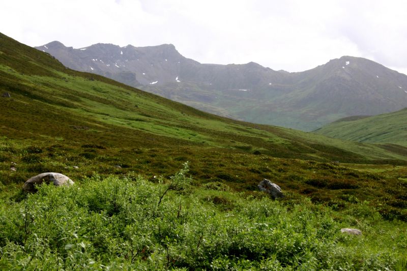 070404 Hope Hatcher Montana Creek (10166)
